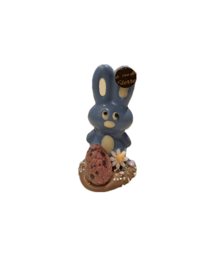 Kleine chocolade haas